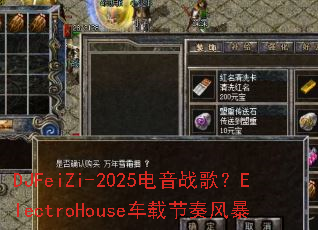 DJFeiZi-2025����ս�裿ElectroHouse���ؽ���籩