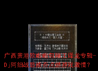 �������ŷ��������������ר��-Dj��ϸս���ܷ��ȼ��Ϸ���飿