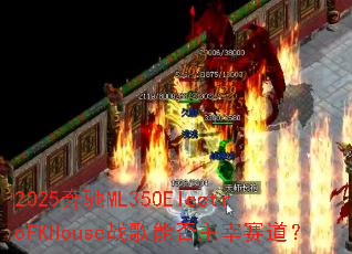 2025����ML350ElectroFKHouseս���ܷ�����������