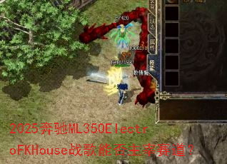 2025����ML350ElectroFKHouseս���ܷ�����������