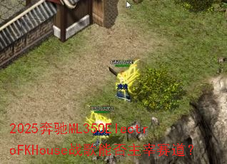 2025����ML350ElectroFKHouseս���ܷ�����������