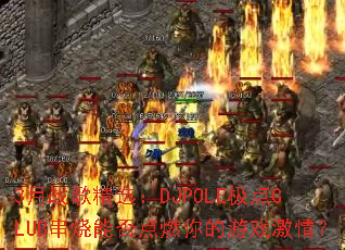 3��ս�辫ѡ��DJPOLE����CLUB�����ܷ��ȼ�����Ϸ���飿