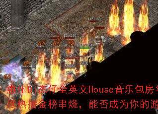 ����Dj����ȫӢ��House���ְ�������Ȳ�����գ��ܷ��Ϊ�����Ϸս�裿