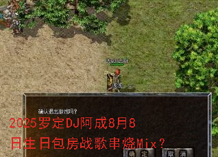 2025�޶�DJ����8��8�����հ���ս�贮��Mix��