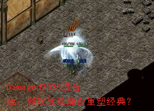 Damaged2025�����棺��Ϸս���ܷ����ܾ��䣿