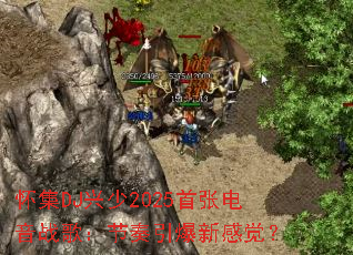 ����DJ����2025���ŵ���ս�裺���������¸о���