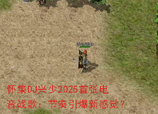 ����DJ����2025���ŵ���ս�裺���������¸о���