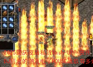 2025����ҹ��˽��Mash-UP������DJ����ĳ�������HOUSEս���ж�ȼ