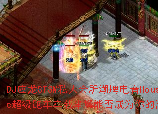 DJӦ��STSM˽�˻������Ƶ���House�����ܳ����ش����ܷ��Ϊ�����Ϸս��