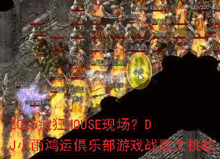 2025���HOUSE�ֳ���DJС����˾��ֲ���Ϸս�����ս