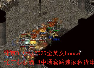 ����DjС��2025ȫӢ��house����ɯɯ�ư��г���·����˽�����գ�