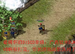 ���˻���DISCO���գ���������DJKVB��Ȩ���죬�����Ϸս��ѡ������