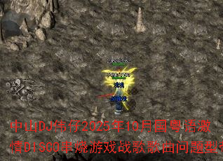 ��ɽDJΰ��2025��10�¹����Ｄ��DISCO������Ϸս����������ʹ�
