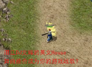տ��DJ�ĻԵ�Ӣ��House�����ܷ��Ϊ�����Ϸս�裿