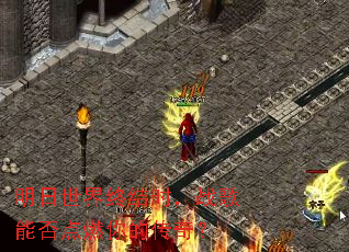���������ս�ʱ��ս���ܷ��ȼ��Ĵ��棿