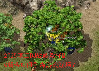 2025տ��DJս�軶��MC�µ����������Ϸս����