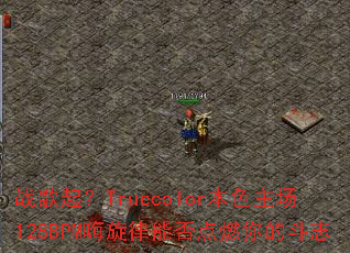 ս����Truecolor��ɫ����128BPM�������ܷ��ȼ��Ķ�־