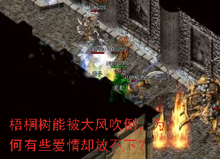 ��ͩ���ܱ���紵����Ϊ����Щ����ȴ�Ų��£�
