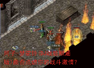 ����-������(DJս��Ĭ����)�ܷ��ȼ���ս�����飿