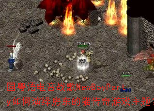 ���������ս��NewBoyParty������﷿����è������Ϸ���⣿