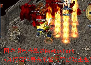 ���������ս��NewBoyParty������﷿����è������Ϸ���⣿