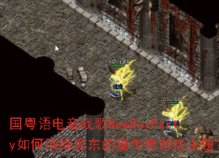���������ս��NewBoyParty������﷿����è������Ϸ���⣿
