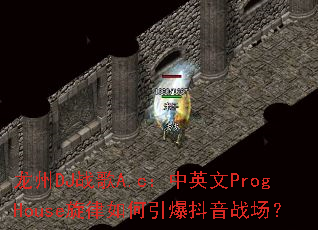 ����DJս��A.c����Ӣ��ProgHouse���������������ս����