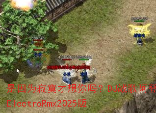 ����Ϊ��į��������DJս�谢��ElectroRmx2025��