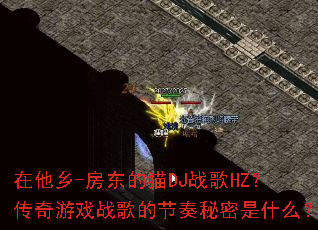 ������-������èDJս��HZ��������Ϸս��Ľ���������ʲô��