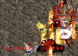 ˭��˵��˭���뿪��2025ս�辫ѡ