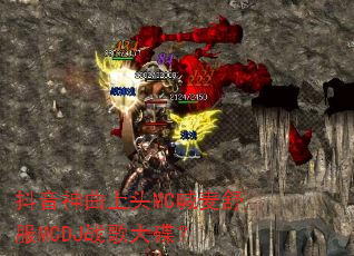 ����������ͷMC�������MCDJս������