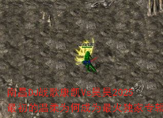 �ϲ�DJս�迵��Vs��2025���������Ϊ�γ�Ϊ������ר����