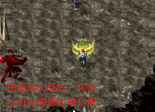 ��԰��DJս�裺�ȵ���ʱΪ�������뵽�ޣ�