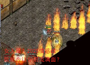 女人篇?2025情感战歌能否让你泪流满面? 女人篇?2025情感战歌能否让你泪流满面?