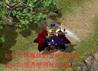 ����ý�ޥ�ֵİ�������ʧȥ��DJ���ȼ��Ϸս����