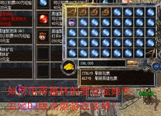 ����ý�ޥ�ֵİ�������ʧȥ��DJ���ȼ��Ϸս����