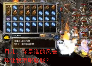 �¶�������˭�ķ羰ȴ�����������ʣ�
