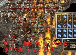 ��������������ͷ��DJս��Ҷ�й�����Electro����
