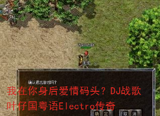 ��������������ͷ��DJս��Ҷ�й�����Electro����