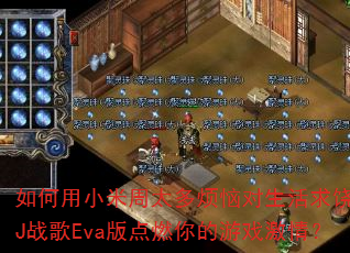 �����С����̫�ෳ�ն���������DJս��Eva���ȼ�����Ϸ���飿