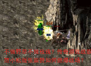 ����Ұ�ݲ���õ�壿������Ϸս�跶С�ɰ��ų������ȼ��ս����