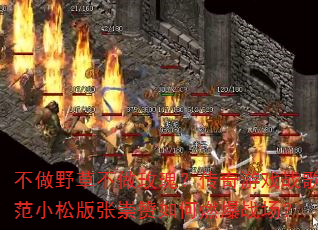 ����Ұ�ݲ���õ�壿������Ϸս�跶С�ɰ��ų������ȼ��ս����