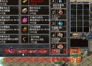 ���޻���С����12�£�DJս��ά��������ｹ������紫�棿