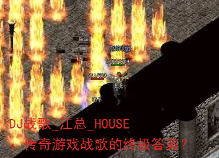DJս��_����_HOUSE��������Ϸս����ռ��𰸣�