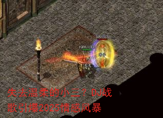 ʧȥ�����С����DJս������2025��з籩