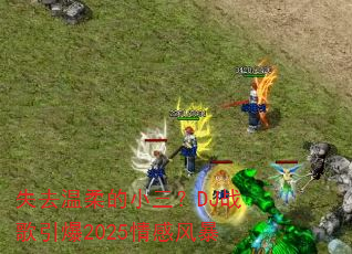 ʧȥ�����С����DJս������2025��з籩
