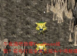 ��ҹ�ưɾ���VinaHouseս�裿�㲼����ȫӢ��ҡͷ�г�����