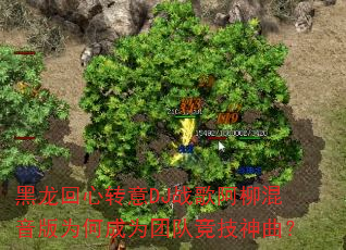 黑龙回心转意DJ战歌阿柳混音版为何成为团队竞技神曲? 黑龙回心转意DJ战歌阿柳混音版为何成为团队竞技神曲?