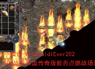 С����-WhyWouldIEver2025DJս����Ѫ������ܷ��ȼս�����飿