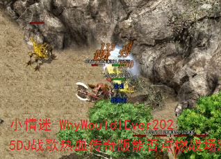 С����-WhyWouldIEver2025DJս����Ѫ������ܷ��ȼս�����飿